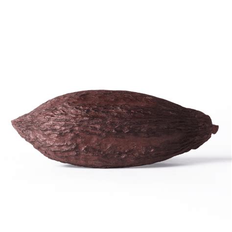 Dried Cocoa Pod Dandelion Chocolate