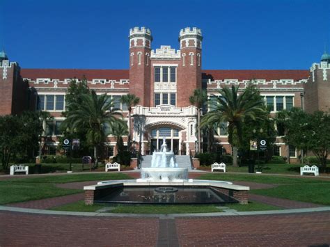 A Bears Life In The Fast Lane Florida State University