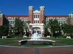 A bear's life in the fast lane: Florida State University