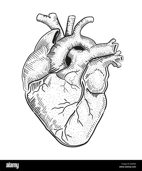 Dibujo De Un Corazón Como Dibujar Corazon Kawaii Paso A Paso