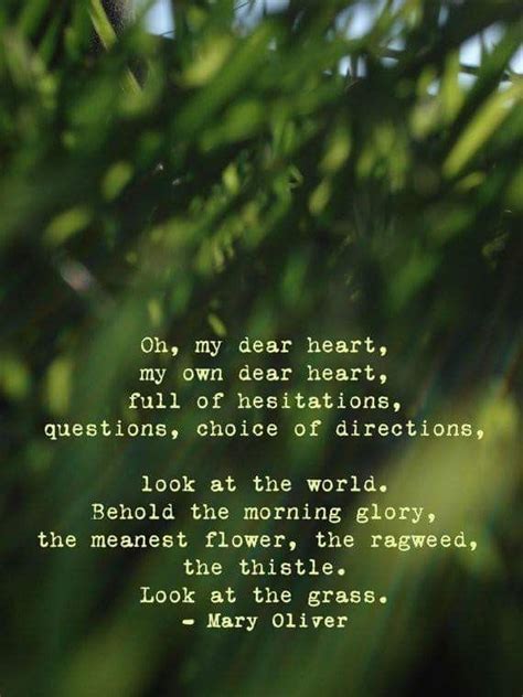 Mary Oliver Nature Quotes Quote Cards Cool Words
