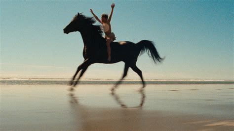 The Black Stallion Nirvana On Horseback From The Current The