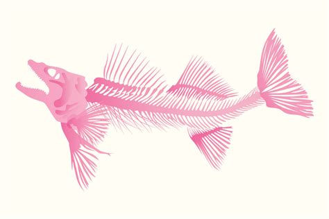 Skeleton Fish Designs Colorware History And Design