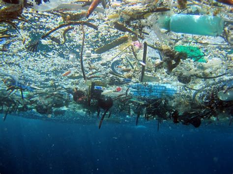 Young Leaders Get Serious About Stopping Plastic Landslide Into Oceans