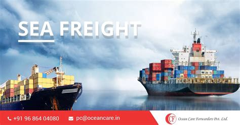 Ocean Care Forwarders Pvt Ltd Ocean Freight Ocean Freight Forwarder