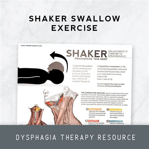 Handout Shaker Swallow Exercise Therapy Insights