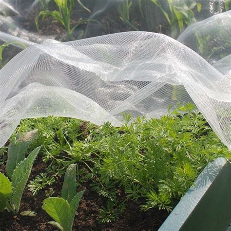 Fine Insect Garden Netting Sold Per Metre Planten Vogels Rups
