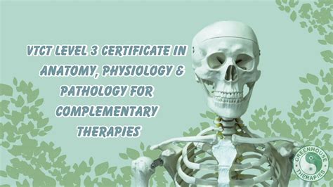 Vtct Level 3 Certificate In Anatomy Physiology And Pathology For Complementary Therapies