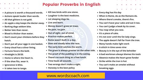 50 Popular Proverbs In English Word Coach