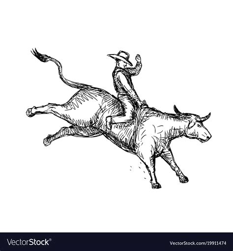 Bull Riding Rodeo Cowboy Drawing Royalty Free Vector Image