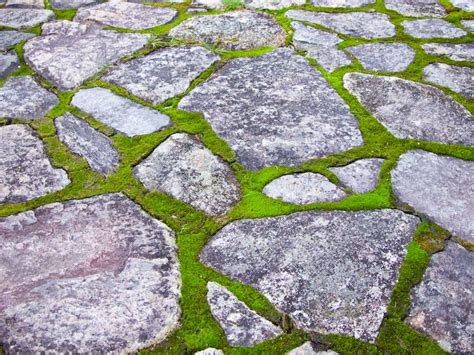 Moss And Stone Patio For The Home Pinterest