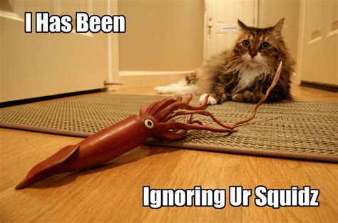 Lolcats A Bad Grammar Cat Macro Meme Explosion