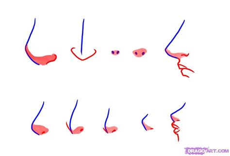 Nose Drawing Tutorial Step By Step Nose Three Quarter Bodegawasuon