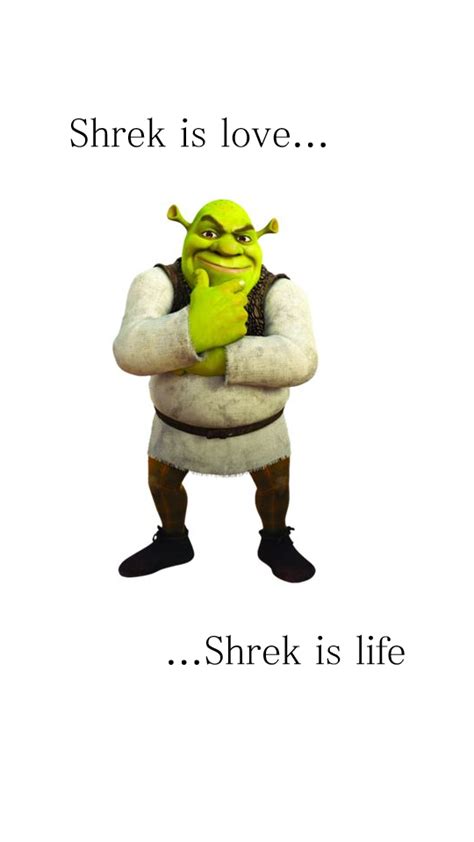 Shrek Is Love Shrek Is Life Shrek Shrek Costume Animated Movies