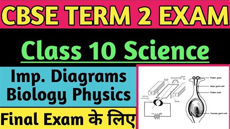 Important Diagram Of Science Class 10 For Term 2 Exam 10th Class