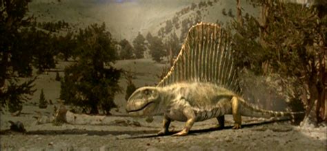 Dimétrodon dimetrodon vue d'artiste de dimetrodon angelensis. Dimetrodon - Walking With Wikis - the free Walking with ...