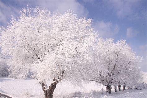 Filewinter Season Wikimedia Commons