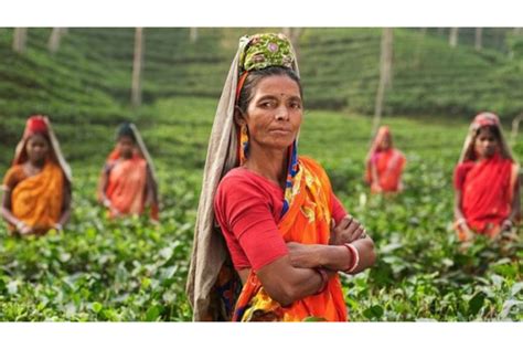 Empowering Rural Women To Fight Indias Hunger Ekam Foundation