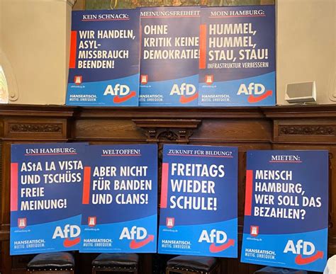 The site owner hides the web page description. Vorstellung der AfD-Wahlplakate / Nockemann: „Hanseatisch ...