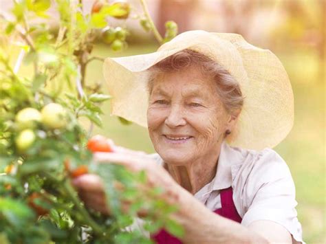 Dementia is caused by damage to or loss of nerve cells and their connections in the brain. Gardening with a dementia patient - Saga