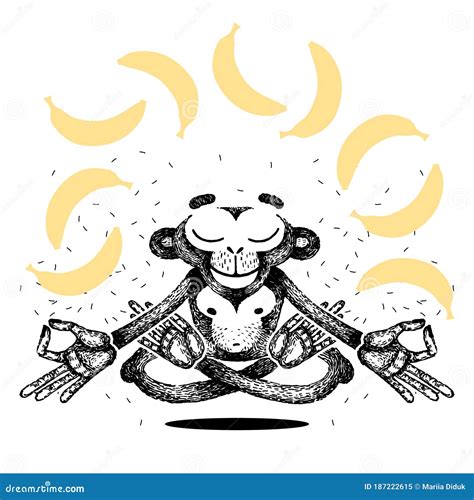 Monkey Is Meditating And Levitating Monkey Sits In A Lotus Position
