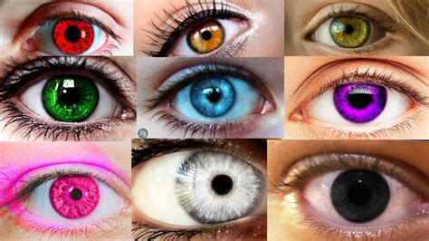 9 Real And Rare Eye Colors Tynker