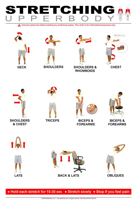 Upper Body Stretching Poster 24 X 36