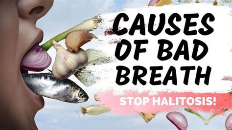 the real cause of bad breath treatment options for halitosis