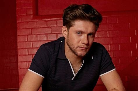Niall Horan Retunes With New Song Nice To Meet Ya Niall Horan One