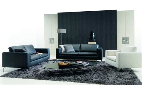 Black And White Living Rooms Digsdigs