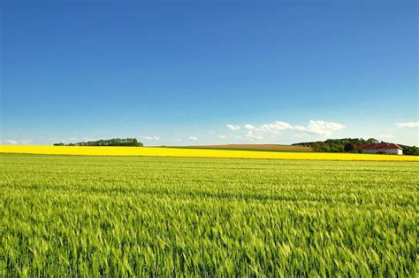 Hd Wallpaper Field Agriculture Farm Landscape Panorama Nature