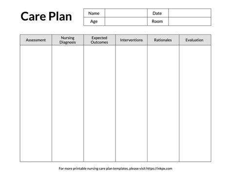 Printable Simple Table Style Student Nursing Care Plan Template · Inkpx