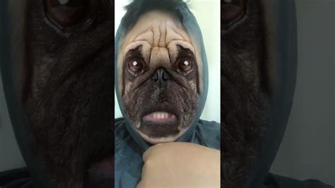 Man Turned Into A Dog Youtube