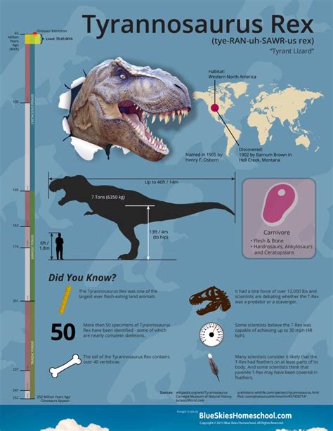 Four Free Dinosaur Infographics Fact Sheets Tyrannosaurus Rex Facts