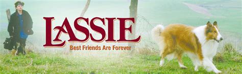 Lassie Blu Ray Version Française Amazonca Movies And Tv Shows
