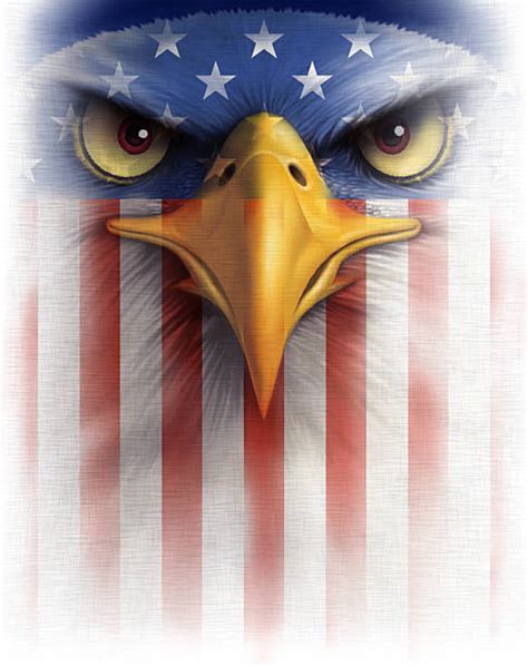 Bald Eagle Clip Art Vector Images And Illustrations Istock
