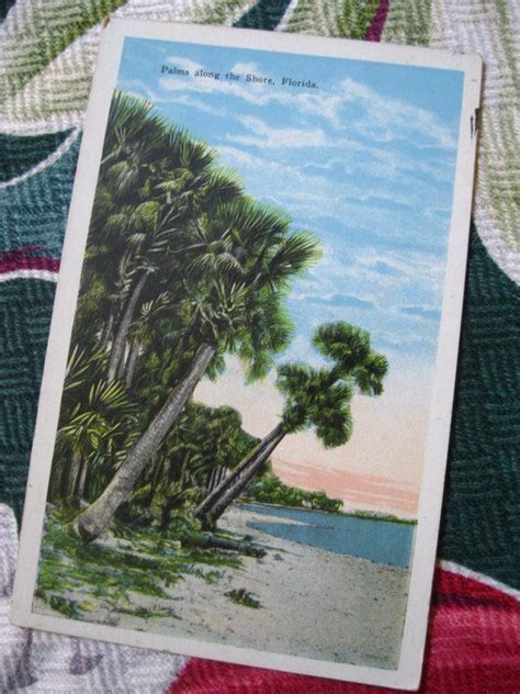 Vintage Florida Postcard Palms Along The Shore 1940s Linen Etsy