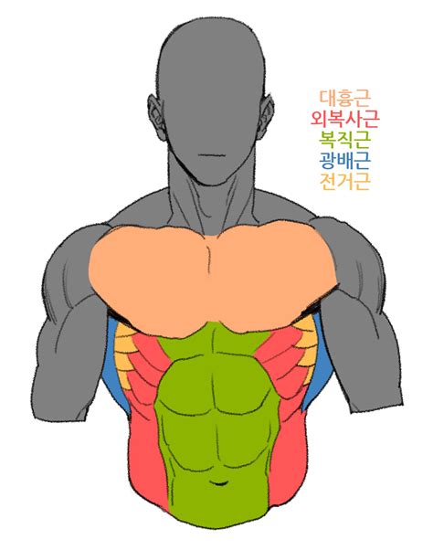 Muscle Guy Drawing Free Download On Clipartmag