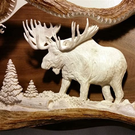 Large Bull Moose Antler Carving Montana Antler Works