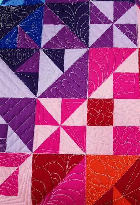 Quilting And Learning What A Combo Fmq A Panel With Free Motion Mavericks