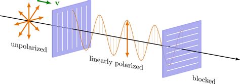 polarization diagram
