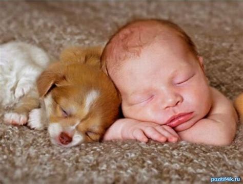 Babies And Puppies Are Best Friends