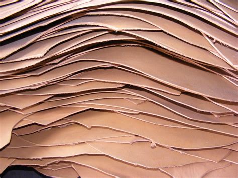 Is Vegetable Tanned Leather Sustainable Alfavega