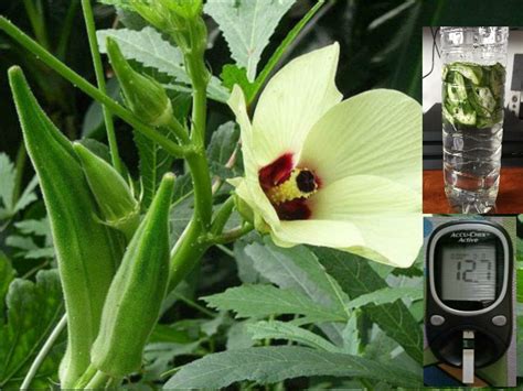 Inilah cara terbaik yang digalakkan. "Umur 86 Tahun Tapi Masih Kuat, Cuma Amalkan Meminum Air ...