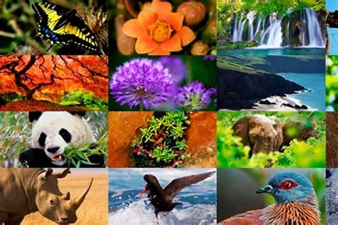 Biodiversidad Qué es importancia tipos conservación Ecología Hoy Hot