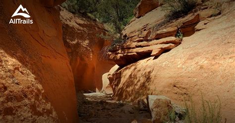 Maybe you would like to learn more about one of these? Best Trails near Tierra Amarilla, New Mexico | AllTrails
