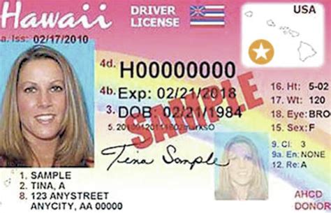 What You Need To Renew Your Driver License With Gold Star Big Island Now