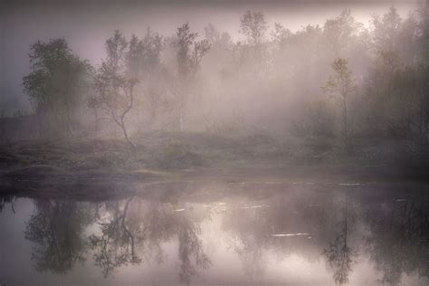 Wallpaper 1300x867 Px Forest Lake Landscape Mist Nature