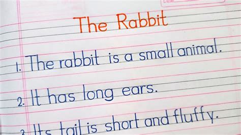Essay On Rabbit Rabbit Essay In English Few Lines On Rabbit