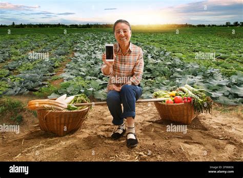 Sitting On A Farm Farmers Holding A Mobile Phone Stock Photo Alamy